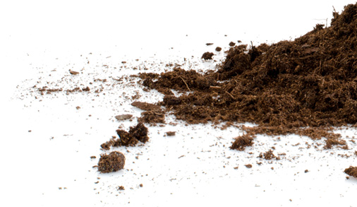 Startseite Startseite