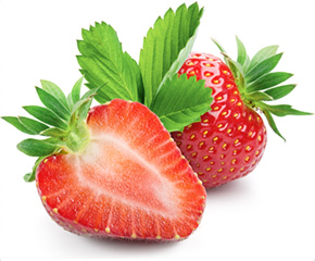 Startseite Startseite