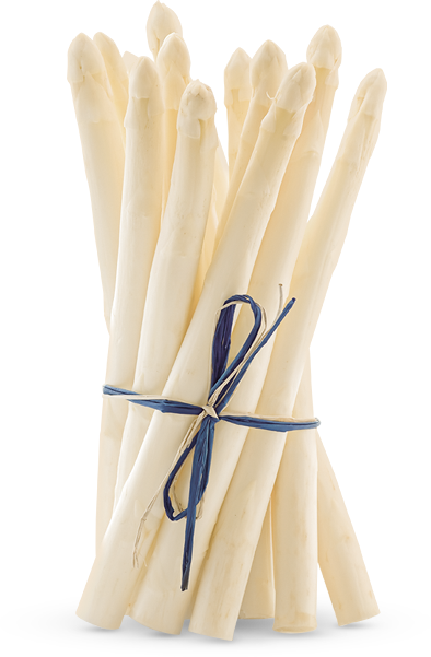 Startseite Startseite