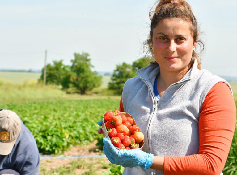 Spargelhof Kutzleben Spargelhof Kutzleben