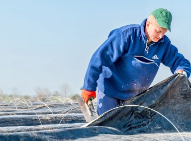 Spargelhof Kutzleben Spargelhof Kutzleben