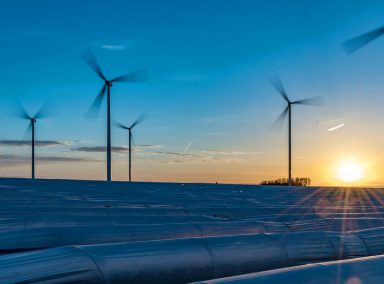 Spargelhof Kutzleben Spargelhof Kutzleben