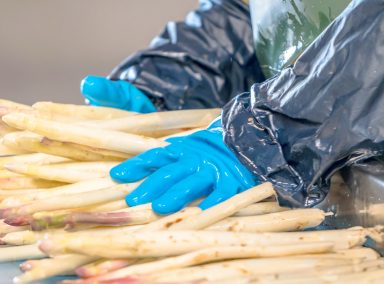 Spargelhof Kutzleben Spargelhof Kutzleben