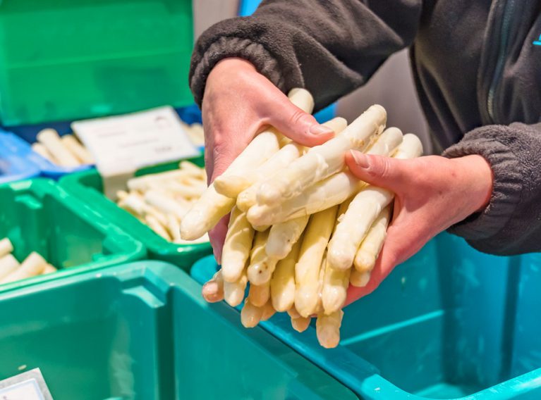 Spargelhof Kutzleben Spargelhof Kutzleben