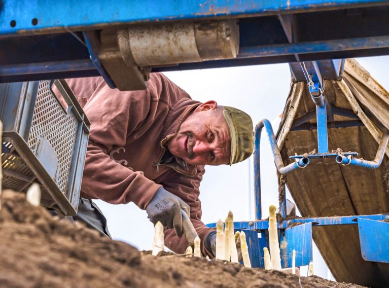 Spargelhof Kutzleben Spargelhof Kutzleben