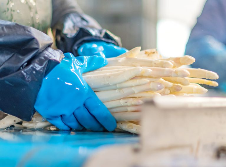 Spargelhof Kutzleben Spargelhof Kutzleben