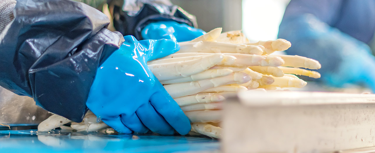 Produktion Produktion