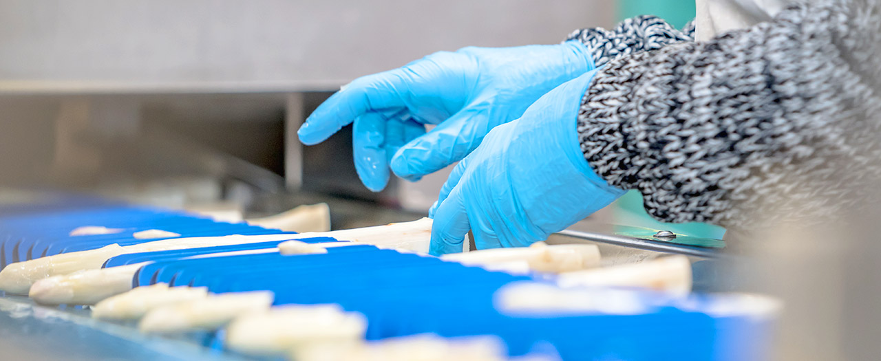 Produktion Produktion